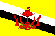 flag of Brunei