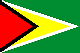 flag of Guyana